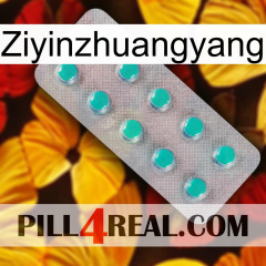 Ziyinzhuangyang 28